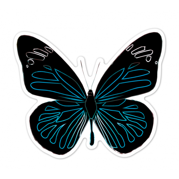 Abtibilduri razuibile - Fluturi, colectia Creatii Naturale