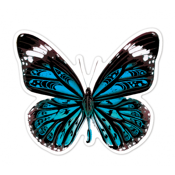 Abtibilduri razuibile - Fluturi, colectia Creatii Naturale