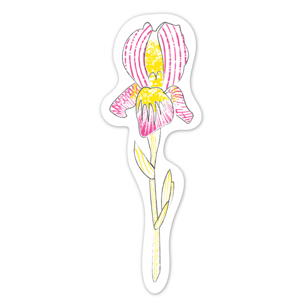 Set pictura cu apa - semne de carte Flori, colectia Creatii Naturale