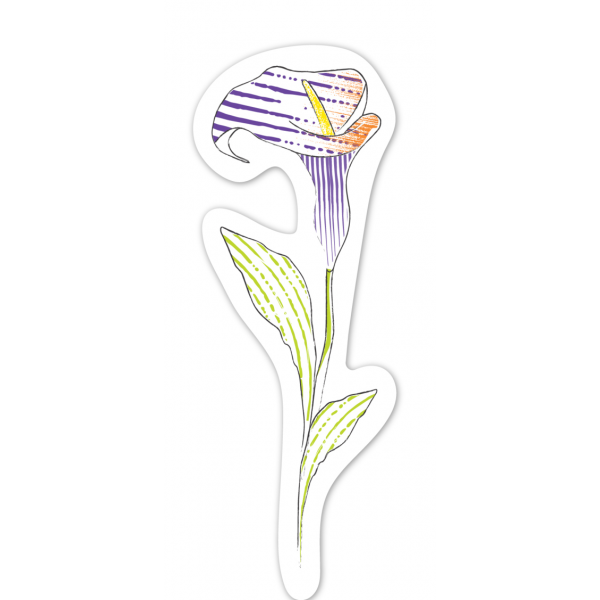 Set pictura cu apa - semne de carte Flori, colectia Creatii Naturale