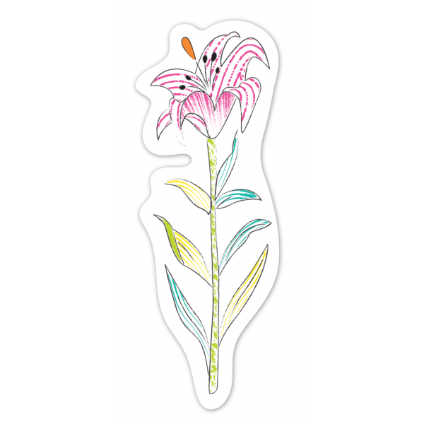 Set pictura cu apa - semne de carte Flori, colectia Creatii Naturale