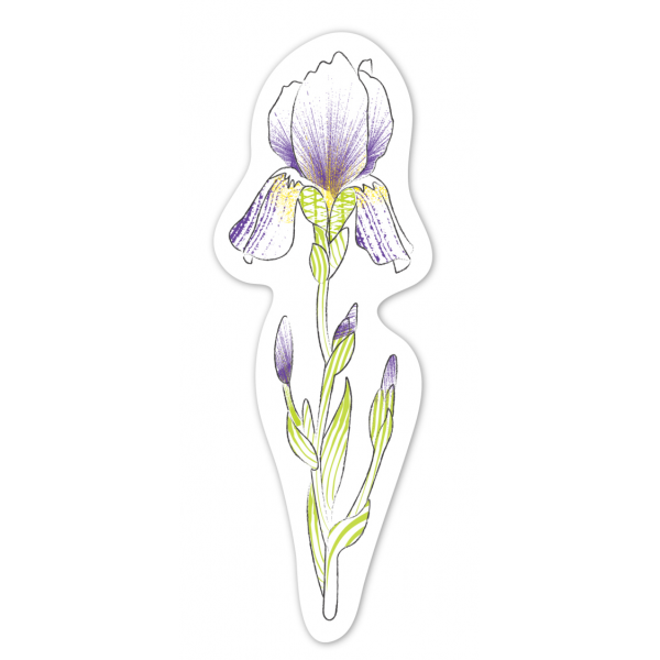 Set pictura cu apa - semne de carte Flori, colectia Creatii Naturale