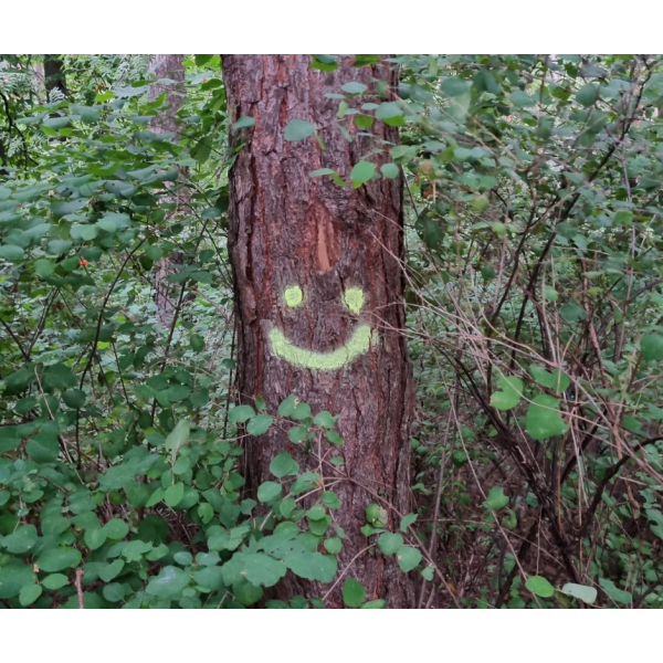 Spray Creta NEO  ,   verde, 150 ml