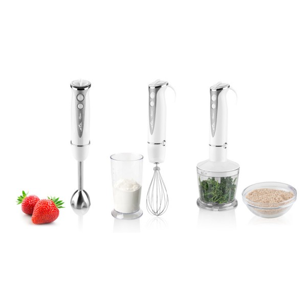 Blender de mana ETA RIZZO 3057, 400W, 5 viteze + TURBO, lame si elemente din otel inoxidabil