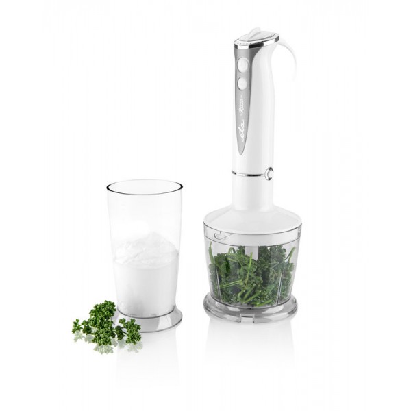 Blender de mana ETA RIZZO 3057, 400W, 5 viteze + TURBO, lame si elemente din otel inoxidabil