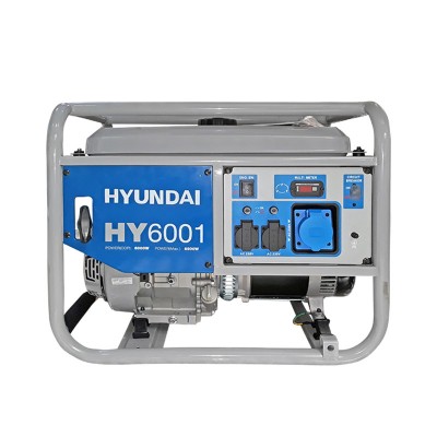 Generator de curent monofazic 6 kW Hyundai HY6001 (HY6001)