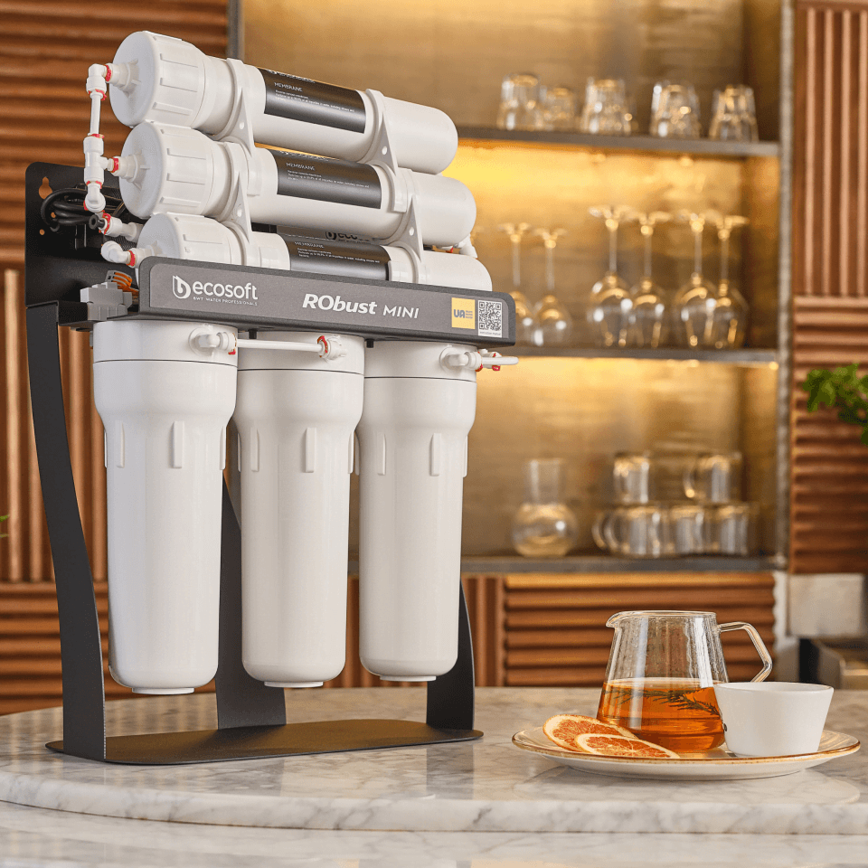 Sistem osmoza inversa profesionala Ecosoft Robust Mini, 6 stadii filtrare, debit direct 2.1 litri/min, pompa booster inclusa, capacitate 300 GPD