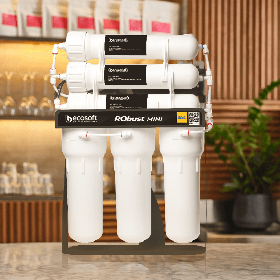 Sistem osmoza inversa profesionala Ecosoft Robust Mini, 6 stadii filtrare, debit direct 2.1 litri/min, pompa booster inclusa, capacitate 300 GPD