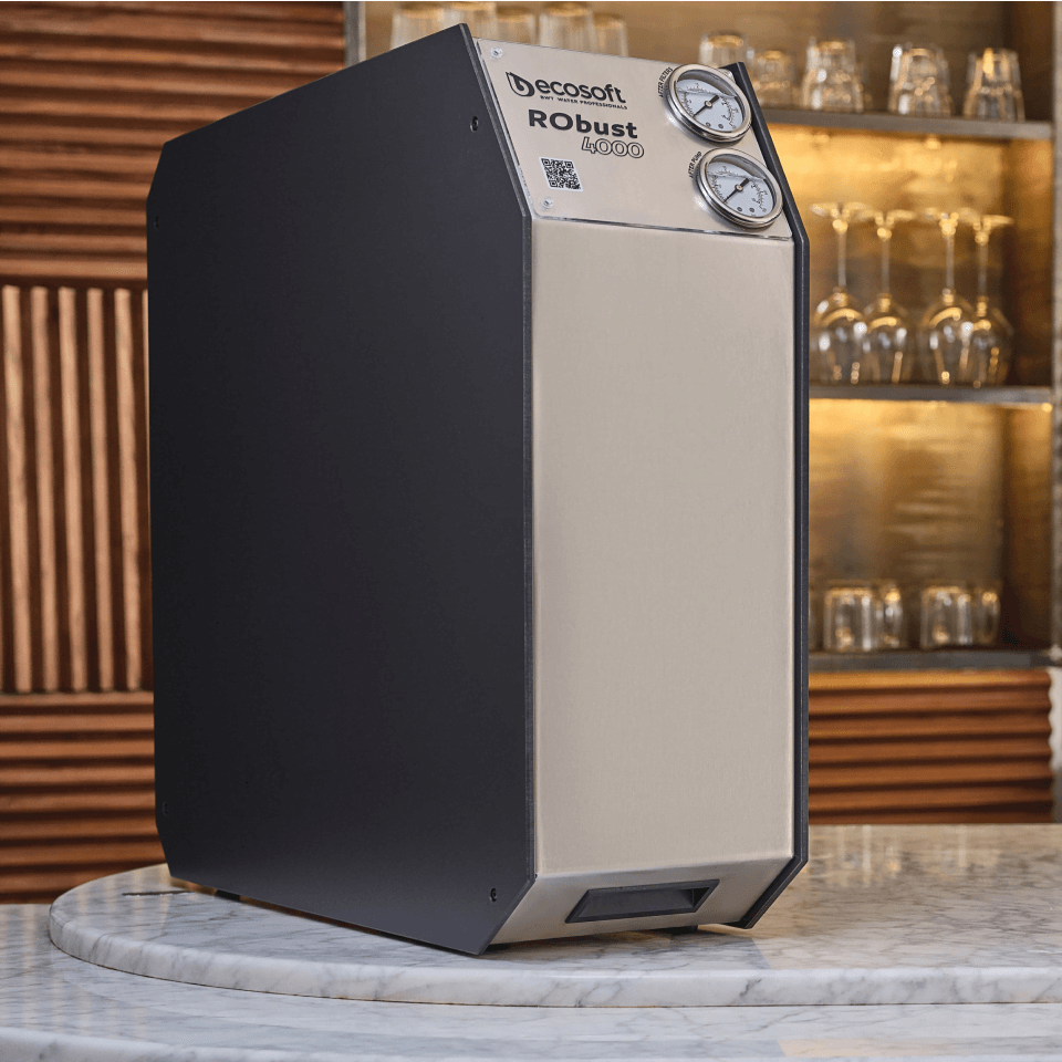 Sistem osmoza inversa profesionala Ecosoft ROBUST 4000, debit 180 litri/ora, 2 membrane de 500 GPD, pompa booster inclusa