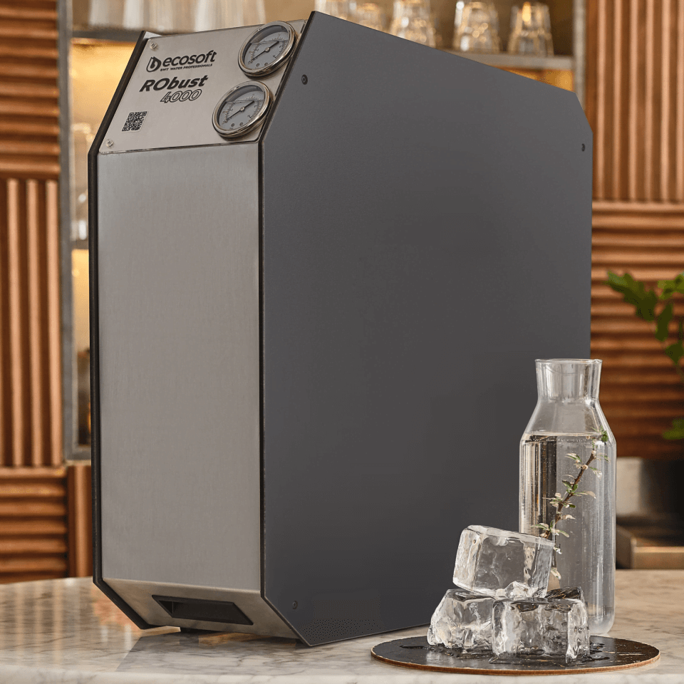 Sistem osmoza inversa profesionala Ecosoft ROBUST 4000, debit 180 litri/ora, 2 membrane de 500 GPD, pompa booster inclusa