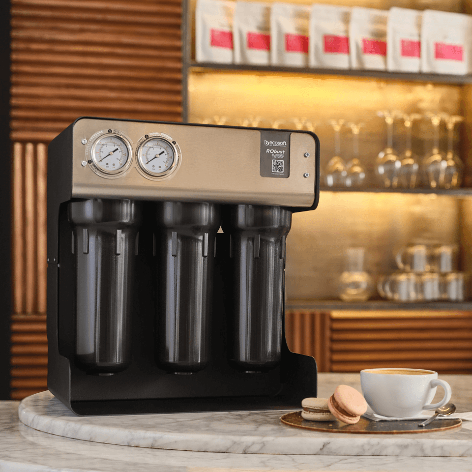 Sistem osmoza inversa profesionala Ecosoft RoBust 1500, membrana 500 GPD, debit direct fara bazin, pompa booster inclusa, filtrare in 4 stadii